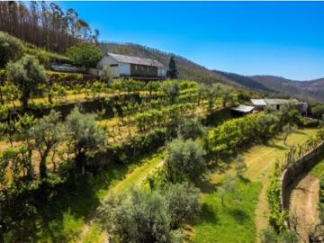 Quinta agrícola 45 minutos do Porto