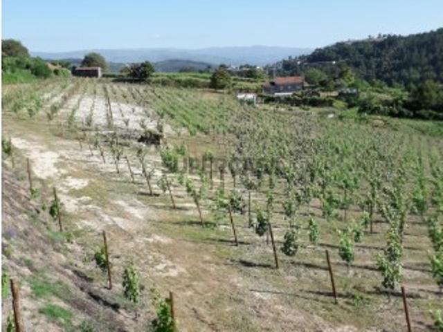 Quinta Agrícola