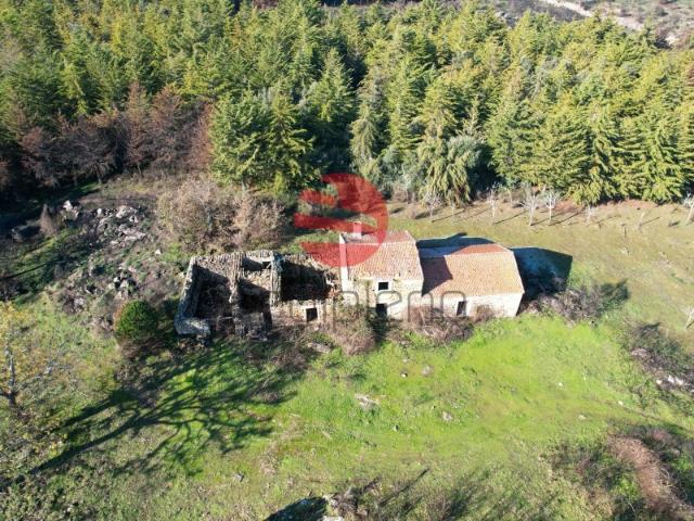 QUINTA AGRÍCOLA