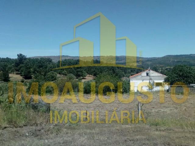 Quinta agrícola com casa de habitação e licenciamento agro p. 111m² Maçal Do Chão