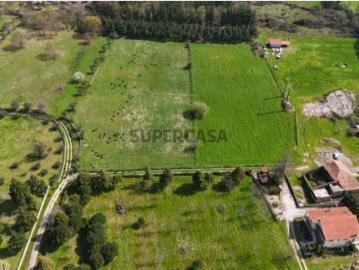 Quinta Agricola, com casa de habitação para recuperar vários pavilhões para destinado a Aviário e terreno rural na totalidade de 31000m2