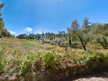 Quinta de 3 hectares com casa para recuperar