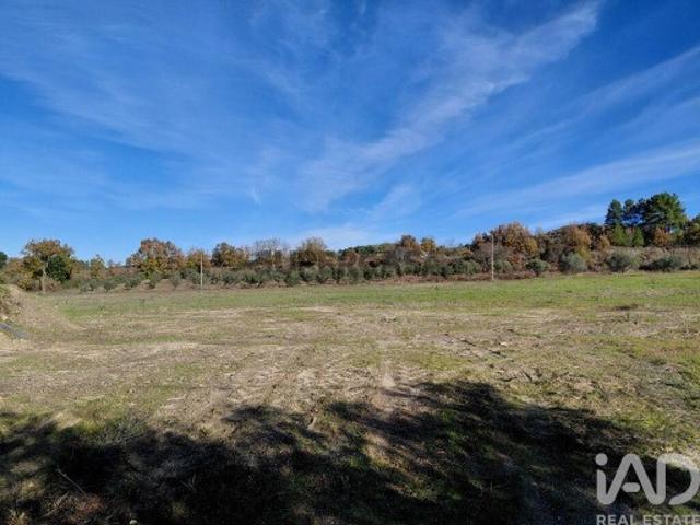 Quinta agricola em Caria de 44720 m²