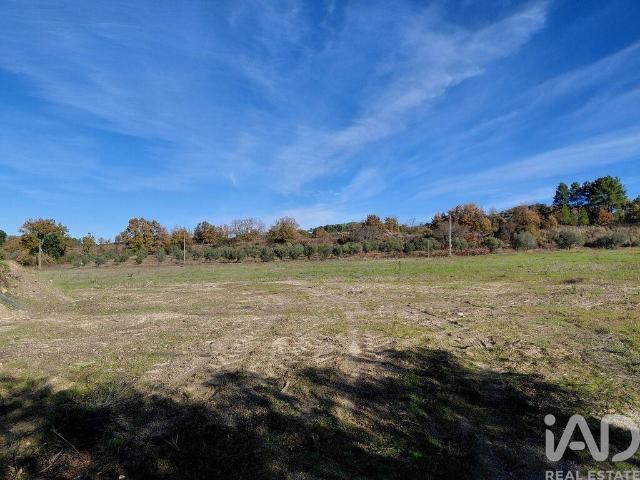 Quinta agricola em Caria de 44720 m²