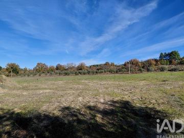 Quinta agricola em Caria de 44720 m² m² Caria