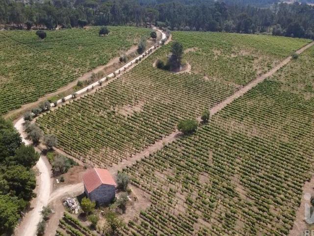 Quinta agricola em Carvalhal Redondo e Aguieira de 52600 m²