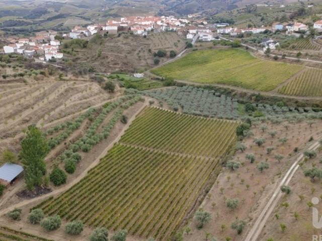 Quinta agricola em Cedovim de 94323 m²