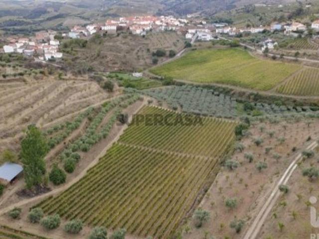 Quinta agricola em Cedovim de 94323 m²