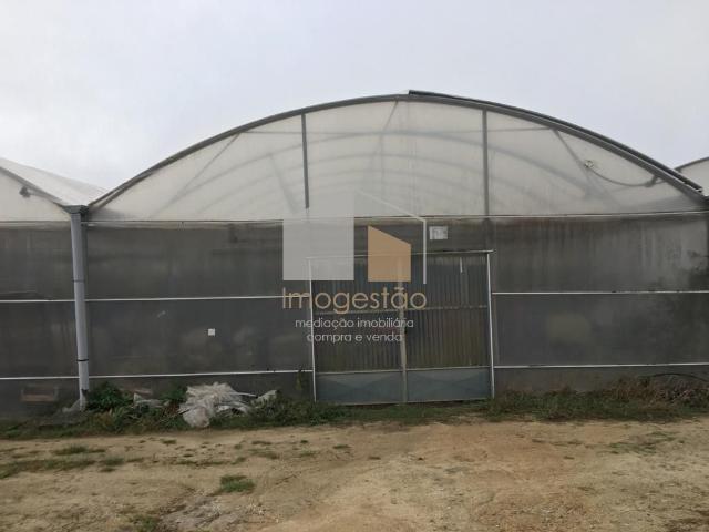 Quinta Agrícola em Cerdal