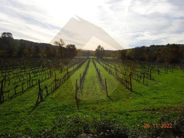 QUINTA AGRICOLA MÊDA