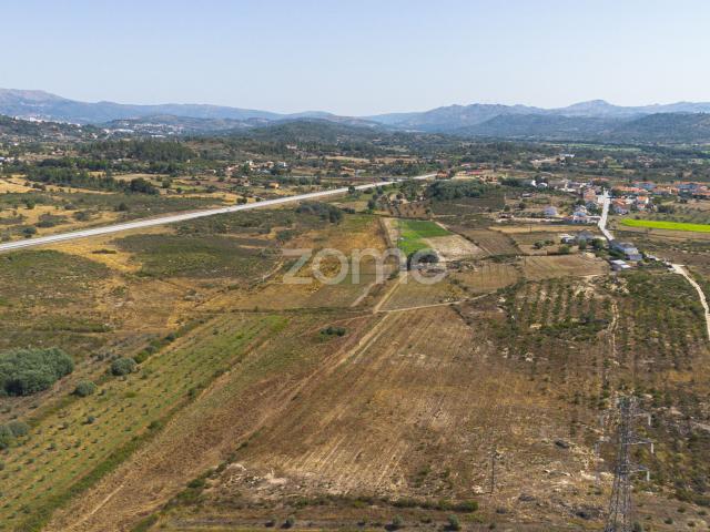 Quinta Agro Biológica e Projeto de Agroturismo | Belmonte