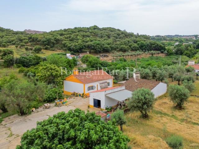 Quinta Alentejana com 2 casas e vinha em Borba