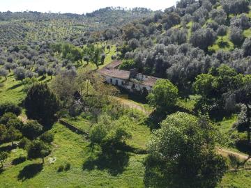 Quinta Alentejana / Herdade de Charme | 13 ha | Moradia 161 m² | Serra de Portel