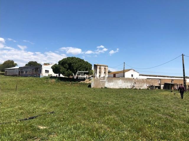 Quinta apta para cultivo e construções turísticas ou rurais a 15km de Albufeira