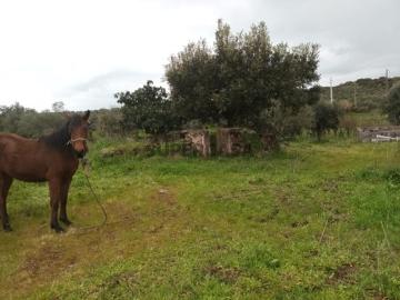 Quinta Barbacena