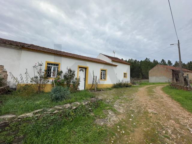 Quinta Beirã com Alma e Água Abundante – Santo André das Tojeiras