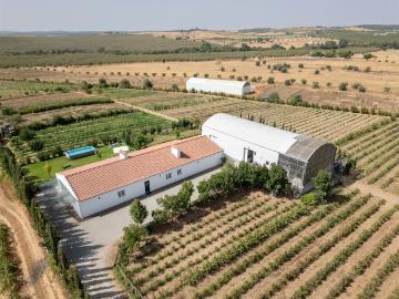 Quinta Biológica Monte de Palma em Sao Manços com negócio. 454m² São Manços e São Vicente do Pigeiro