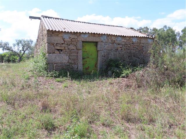 Quinta Biológica com 11.200m2 com casa em pedra com 35m2 perto de uma aldeia com comércio e serviços