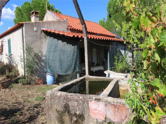 Quinta Biológica com muitas frutas e auto rega Edifício pronto a habitar com eletricidade ligada. Localização muito calma a 1km da aldeia com comércio, escolas, comboios e serviços