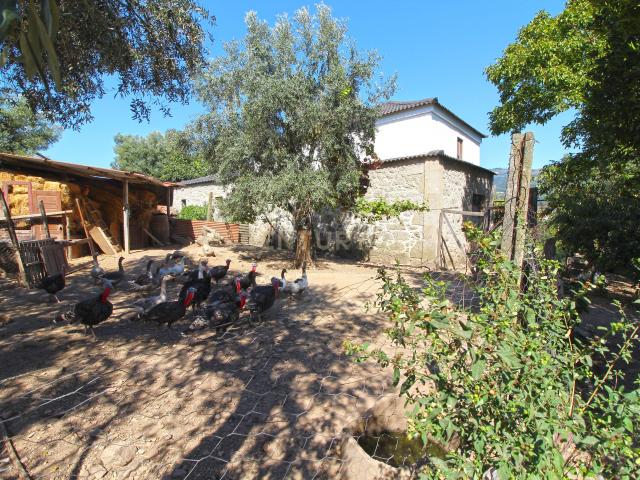 Quinta Gemieira, Ponte de Lima