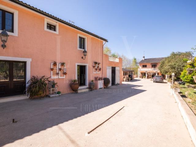 Quinta do Cangalho | São Fipo, Ega