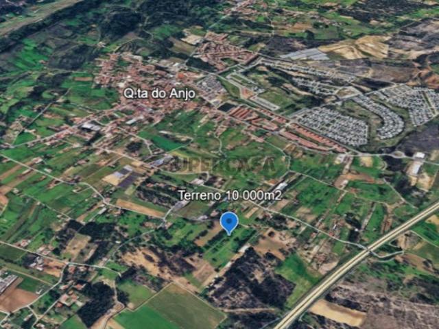 Quinta do Anjo Terreno Rústico com 10 000m2