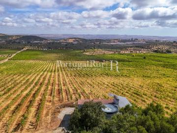 Quinta de 6,9 ha com vinha em produção, Borba 30m² Vila Viçosa Conceição