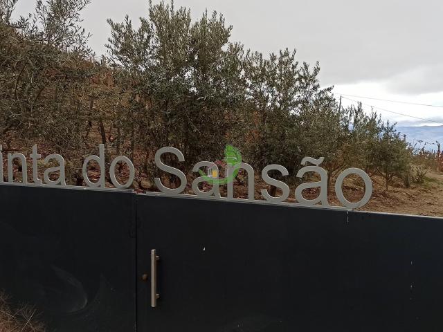 Quinta do Sansão Douro
