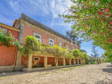 Nossa Senhora da Conceição, Vila Real