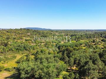 Quinta do Ponsulinho com 9,7 Hectares 113m² Monsanto e Idanha a Velha