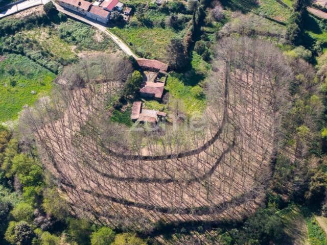 Quinta do Património: Um Legado Vivo no Vale do Mosteiro de Cete
