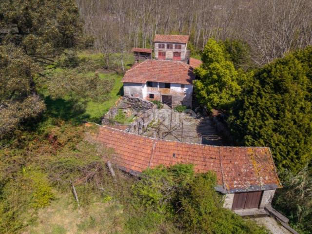 Quinta do Património: Um Legado Vivo no Vale do Mosteiro de Cete