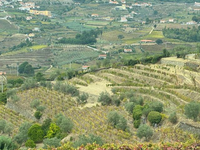 Quinta do Prado em Moura Morta, Régua