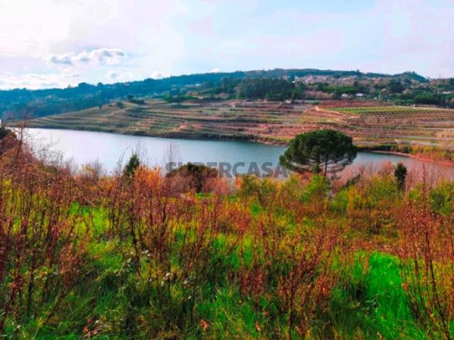 Quinta do Tapado