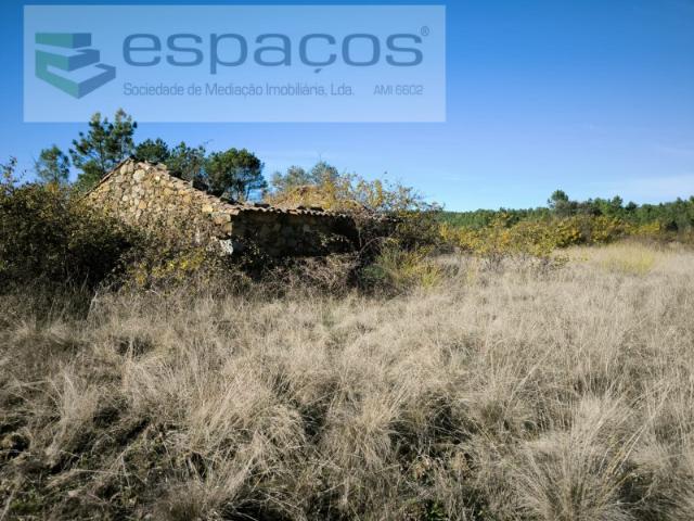 Quinta do Vale Sarzedo Serrasqueira