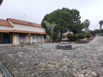 Quinta dos nossos sonhos, localizada na Cidade do Cartaxo