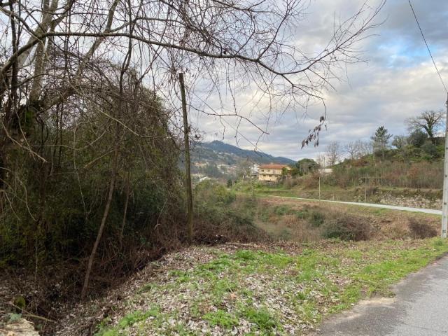 Terreno Agrícola | 3100m²