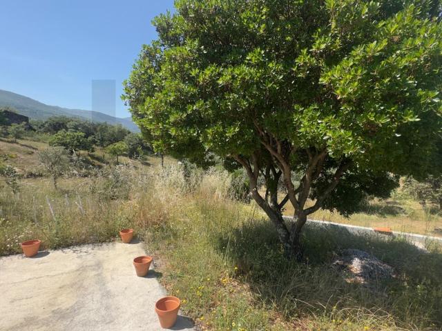 Quinta dos Covais: Refúgio Off Grid de 1 Hectare Autónomo com Vista Serra – Gouveia