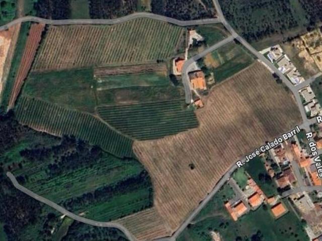 INVESTIMENTO ESTRATÉGICO NA NAZARÉ – QUINTA DOS VALES, VALADO DOS FRADES