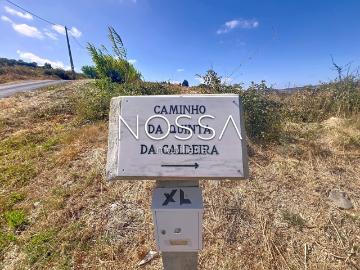 Quinta da Caldeira | Arruda dos Vinhos | vinha DOC