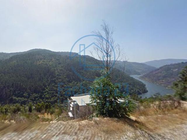 Quinta da Cárdia — 43.8 ha junto ao Rio Douro Penha Longa, Marco de Canaveses