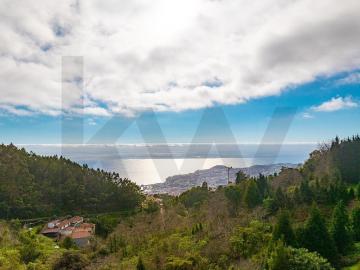 Quinta da Choupana Um Legado Verde no Coração do Funchal 1m² Santa Maria Maior Funchal