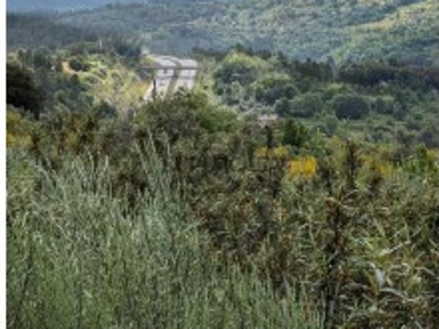 ’Quinta da Amelinha’