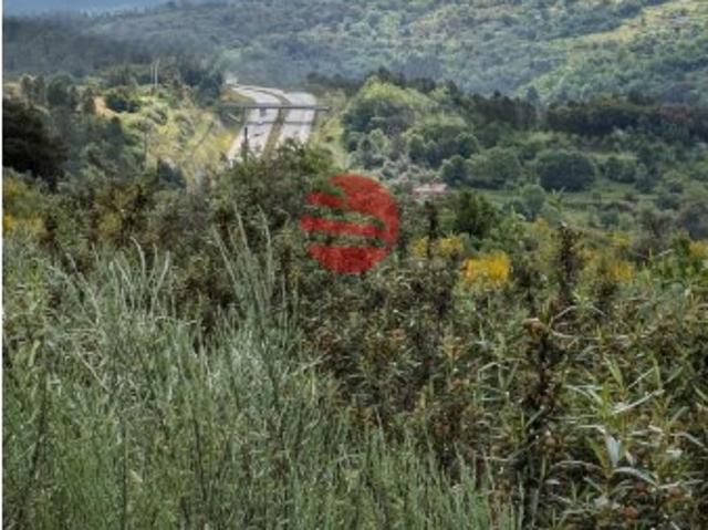 'Quinta da Amelinha'