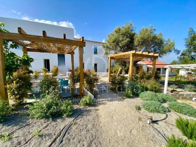 Quinta da Janela Azul 233m² Tavira Santiago