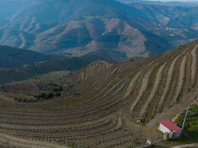 Quinta da Portelinha