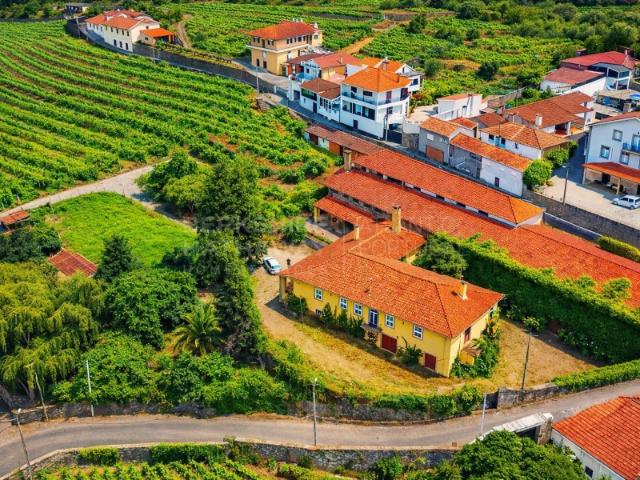 Quinta da Portelinha Quinta Histórica no Douro Património, Vinho e Cultura Localizada no coração do Douro Valley, esta quinta histórica reúne vinho, património cultural e potencial turístico, tendo sido residência do lendário cineasta português Manoel de Oliveira