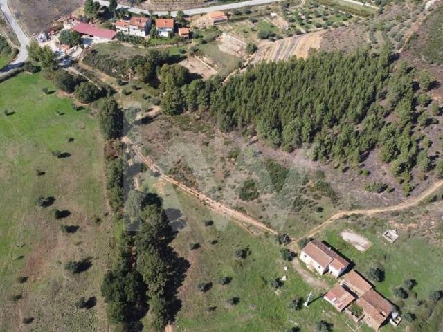 Quinta da Ribeira com Casas para Recuperar e Terreno de 4,6ha Souto da Casa