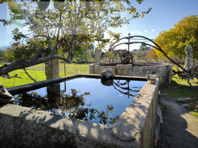 Quinta da Ribeirinha Escalos de Baixo