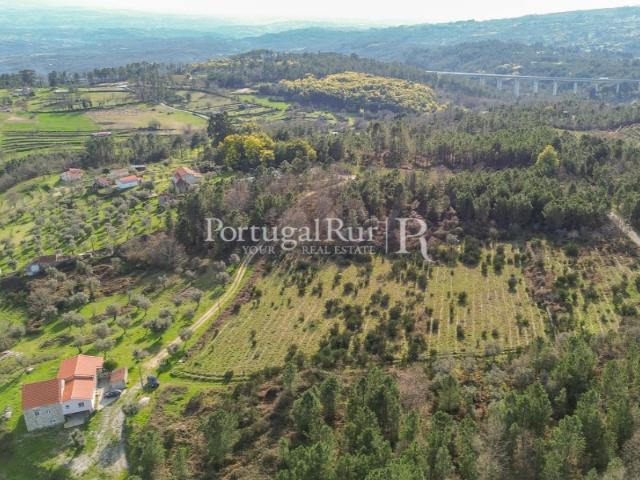 Quinta de 10hectares com Moradia T4 na Beira Alta